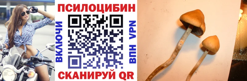 Псилоцибиновые грибы Magic Shrooms Углич