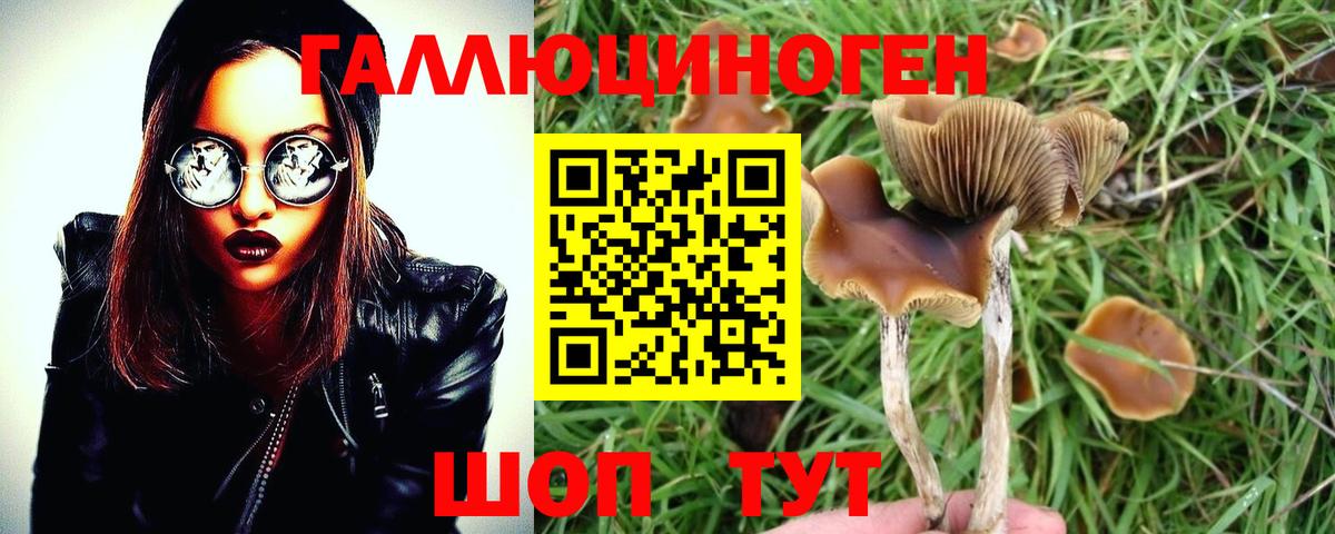 Галлюциногенные грибы прущие грибы Углич
