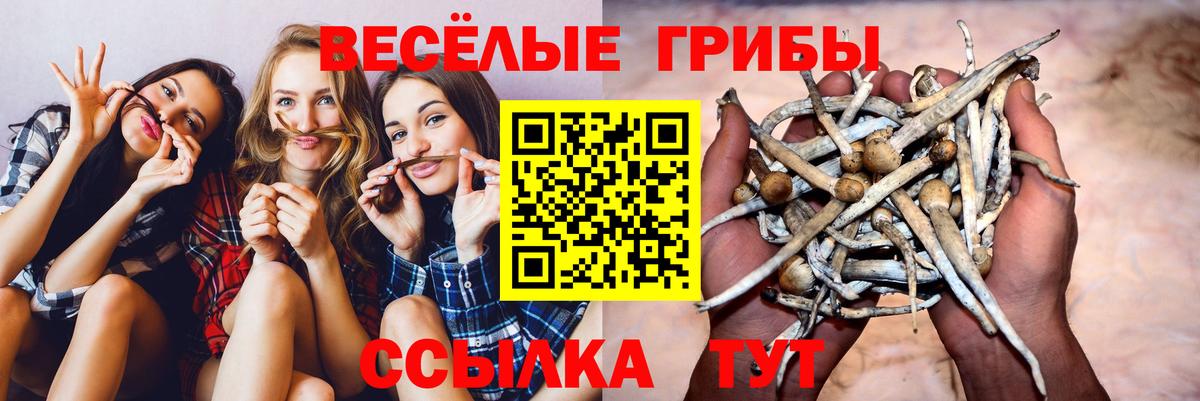 Углич  Галлюциногенные грибы MAGIC MUSHROOMS  Псилоцибиновые грибы ЛСД  Вход с VPN 